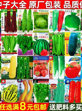 蔬菜种子厂家直销买4包邮送肥料