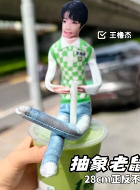 王橹杰老鼠干无白边抽象送人玩偶四肢分离有铁丝骨架可摆任意造型