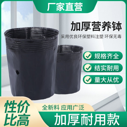 营养杯营养钵育苗杯育苗盆黑色营养袋加厚黑色一次性塑料杯大号
