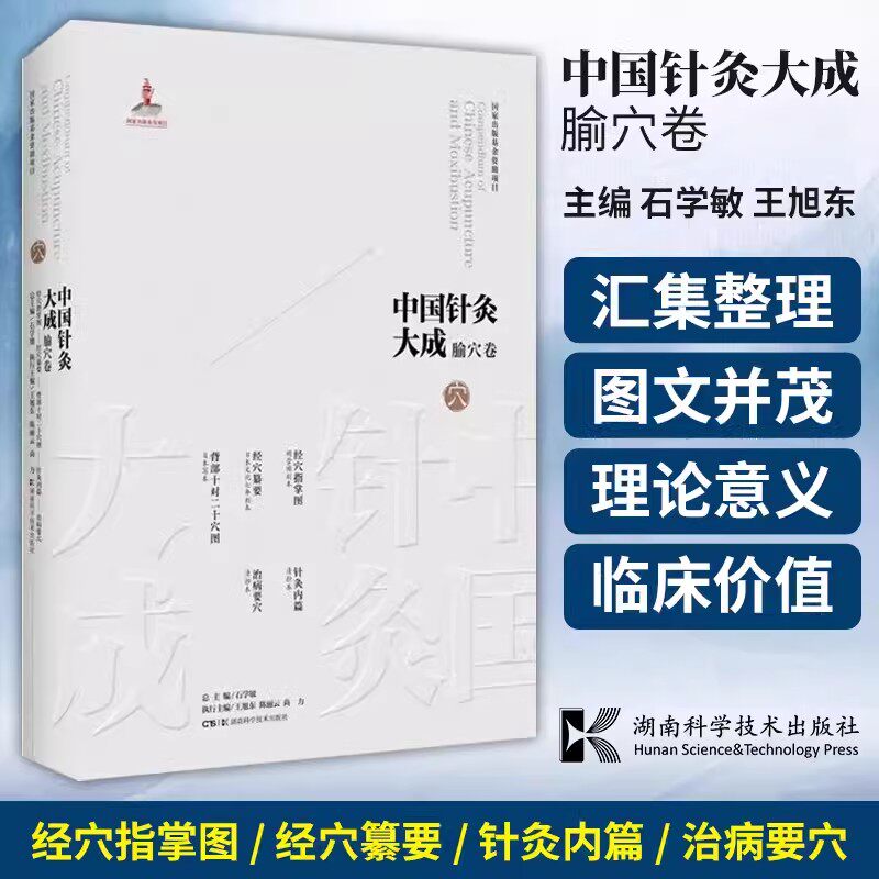 【书】中国针灸大成 腧穴卷 经穴指掌图经穴纂要背部十对二十穴图针灸内篇治病要穴 石学敏王旭东编著 湖南科学技术出版社书籍