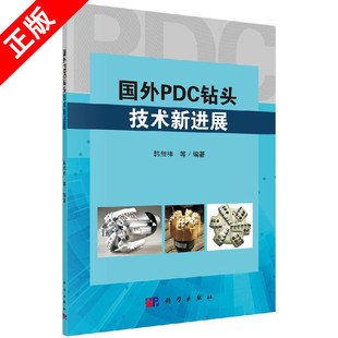 正版 国外PDC钻头技术新进展书籍 书