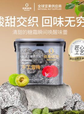 佰斯纳特蜜饯手工雪梅酸甜果脯零食特产杨梅果干孕妇400g