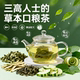 南京同仁堂 桑叶双瓜茶 代用茶冬瓜茶 草本口粮茶 三高人士