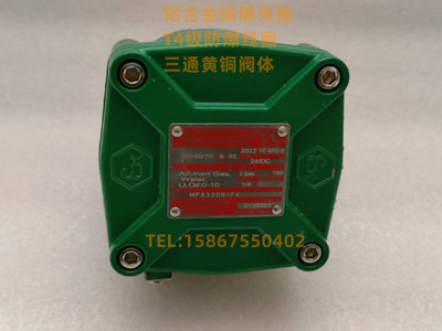 NF8262G138 8262G134 NF8262H080 8262G080隔爆电磁阀