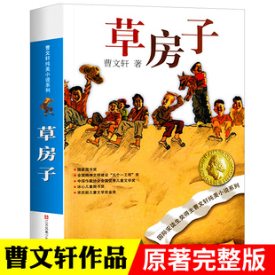 草房子正版曹文轩原著完整版青铜葵花五六年级阅读小学生寒暑假课外经典阅读儿童文学江苏凤凰少年儿童出版社校园文学纯美小说系列