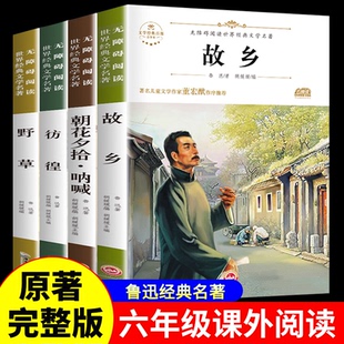 6年级 全集读本 野草 散文作品集书籍经典 书 鲁迅 朝花夕拾呐喊小学生3 彷徨六年级必读课外阅读书籍老师推荐 鲁迅原著正版 故乡