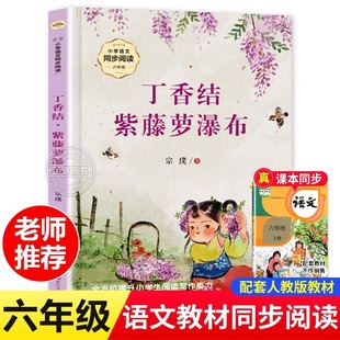 教材宗璞著散文精選長(zhǎng)江文藝出版 丁香結(jié)紫藤蘿瀑布 社6 人教版 書籍讀物正版 小學(xué)語文同步閱讀六年級(jí)上冊(cè)必讀課外書老師推薦 文學(xué)經(jīng)典