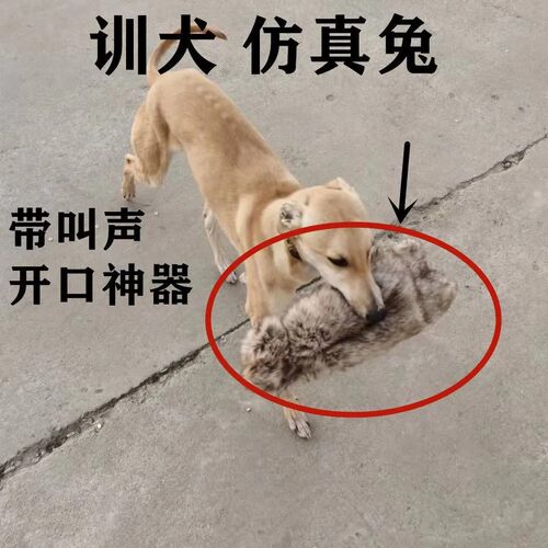 训犬细犬猛犬假兔子加厚兔皮练狗训狗神器训练狗仿真兔狗户外玩具