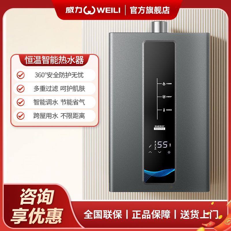 WEILI/威力智能恒温13升1