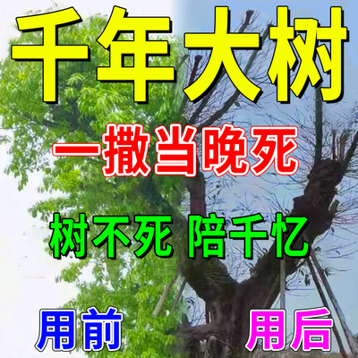 环嗪哃除树剂除大树竹子灌木杨树槐树梧桐树柳树榕树松树特效药XH