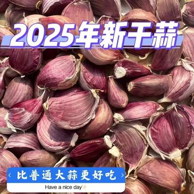 正宗紫皮蒜种子早蒜蒜瓣大蒜子新鲜红皮香蒜正月出蒜苔种红