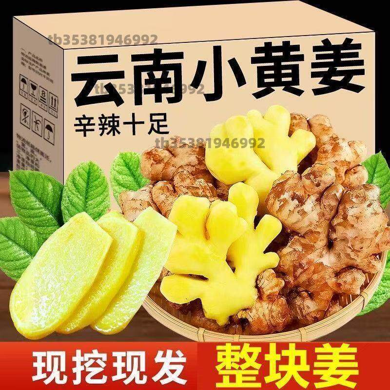 云南小黄姜一级生姜老姜批发十斤包邮原产地直销新鲜农家土姜堆