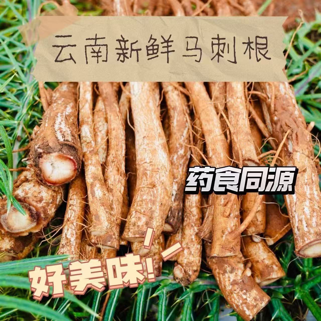 野生云南大蓟根马刺根恶鸡婆刺萝卜新鲜现挖包邮炖鸡排骨猪蹄清热