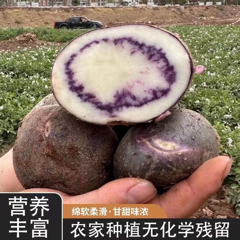 六盘水四格乌洋芋紫皮土豆新鲜乌洋芋七彩土豆马铃薯应季贵州特产