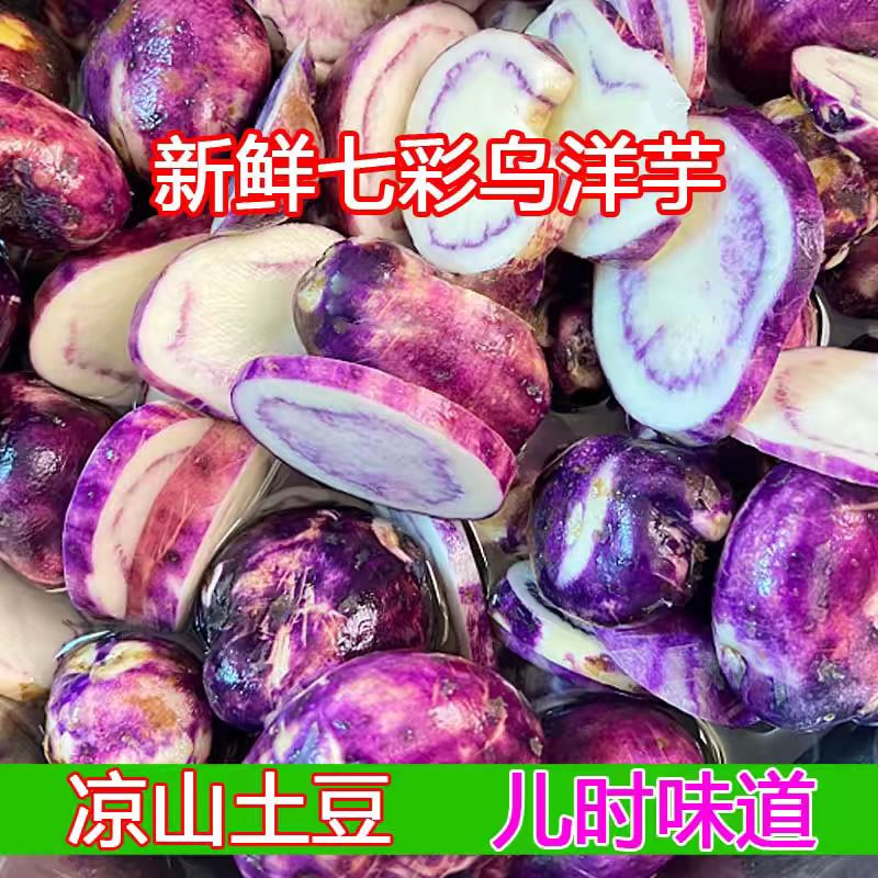 四川大凉山会东新鲜七彩乌洋芋紫心小土豆粗粮非转基因农家直发