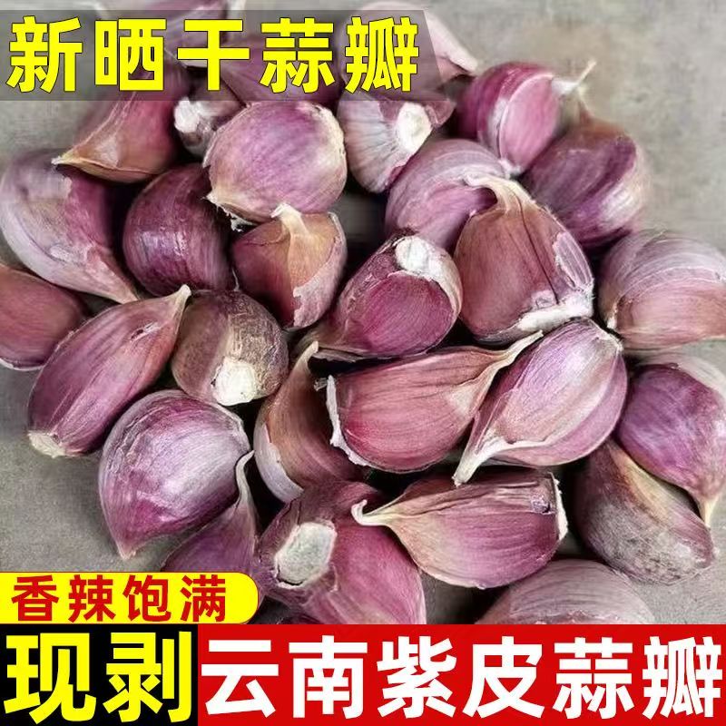 新鲜上市云南正宗紫皮蒜瓣老品种红皮新干蒜紫皮大蒜红蒜瓣可食种