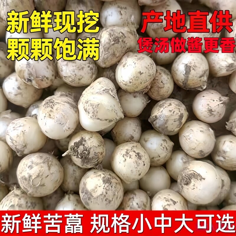 鲜货整理苦葱头小根葱苦藠头薤白野葱头四川产地直发好物
