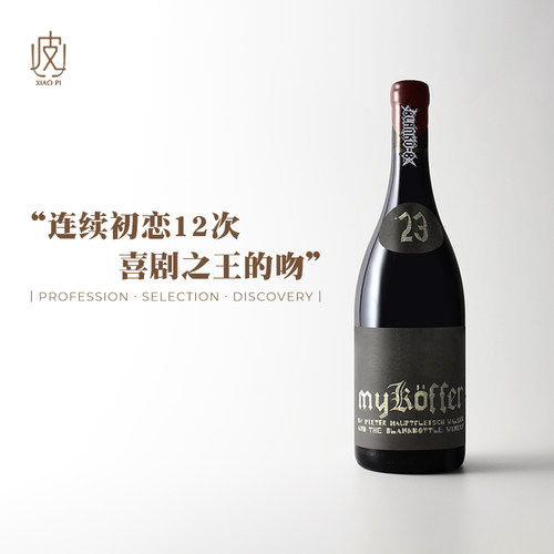 南非空瓶子回味人生干红葡萄酒