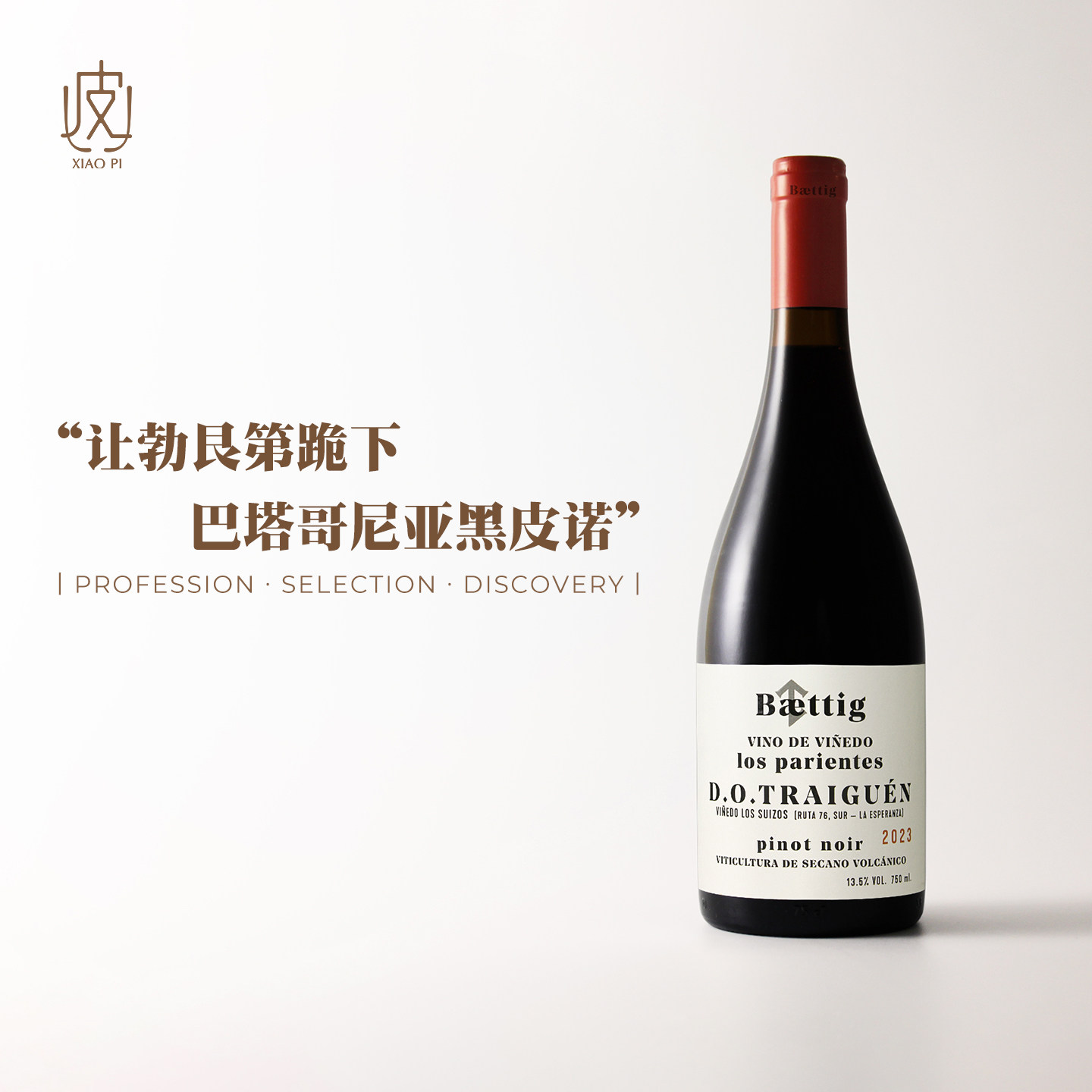 7度满分的大神酿酒师！智利百滴阁酒庄比邻黑皮诺干红葡萄酒2023