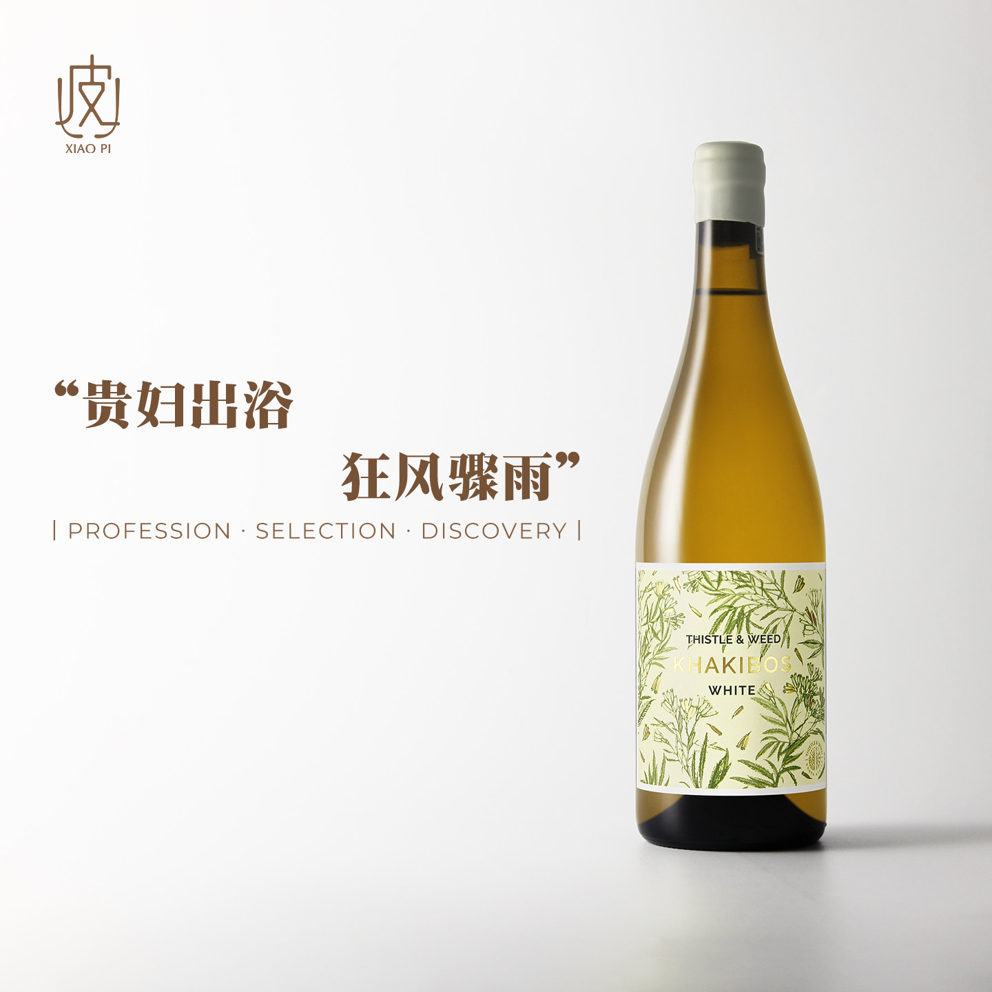先锋又高级！香的要命 南非蓟与草万寿菊干白葡萄酒2024年份750ml