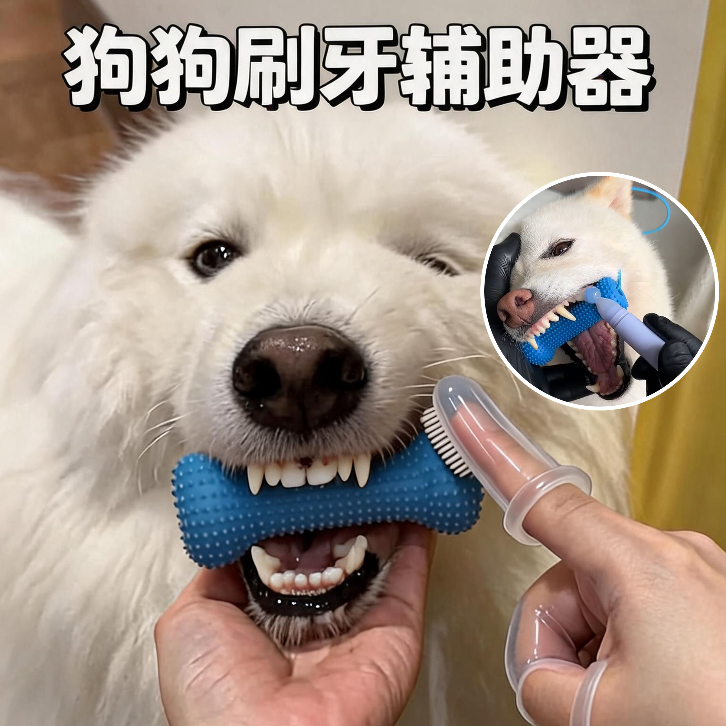 狗狗刷牙辅助神器橡胶玩具洁齿