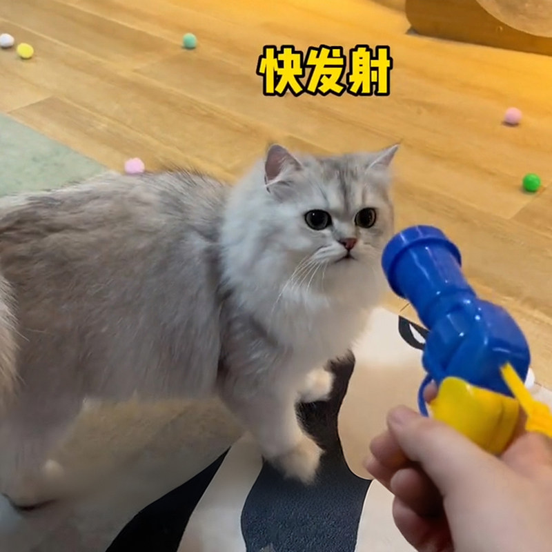 猫玩具逗猫发射枪静音球布偶德文