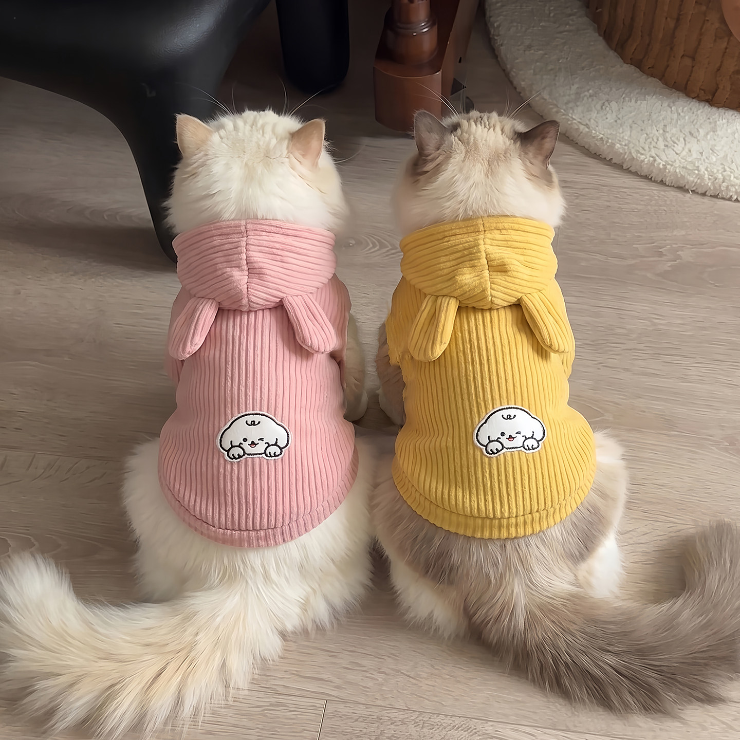 猫咪衣服秋冬连帽白狗耳朵卫衣