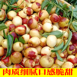 【商超品质】陕西大荔冬枣水果5斤  券后24.9元包邮