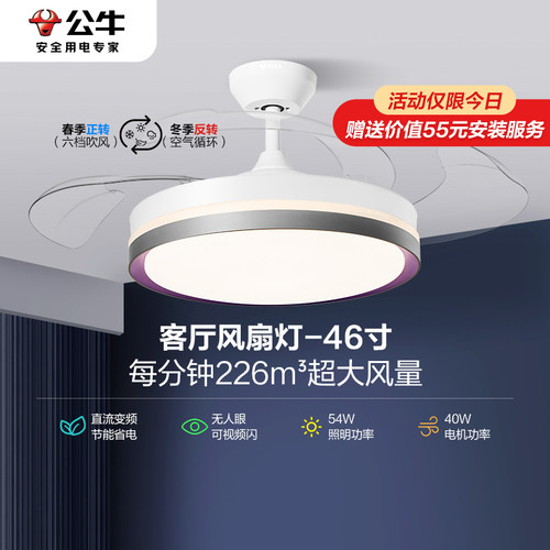 【感受自然好风光】吊扇灯