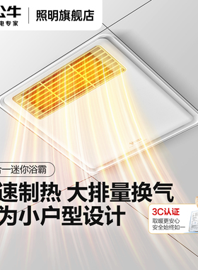 公牛浴霸300x300风暖照明排气扇一体30x30集成吊顶卫生间暖风浴室