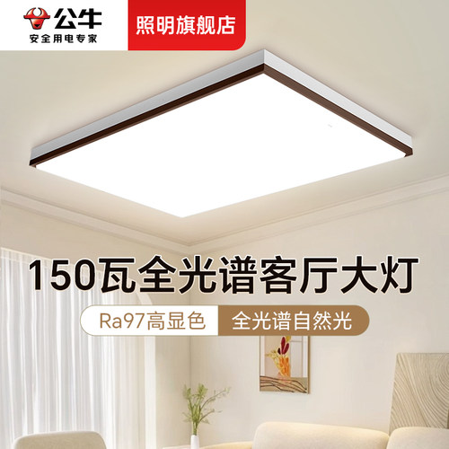 【包安装拆旧】公牛大尺寸客厅灯