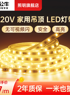 公牛线型灯客厅双眼皮线条灯蓝光灯带嵌入式220V过道led灯光线条