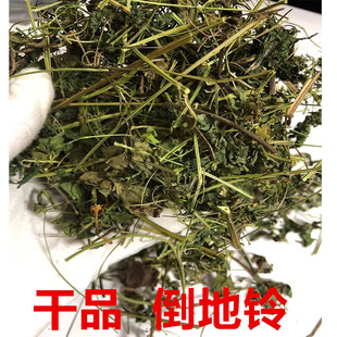 新晒干品中药材倒地铃 干三角泡 炮卜草 包袱草 中草药
