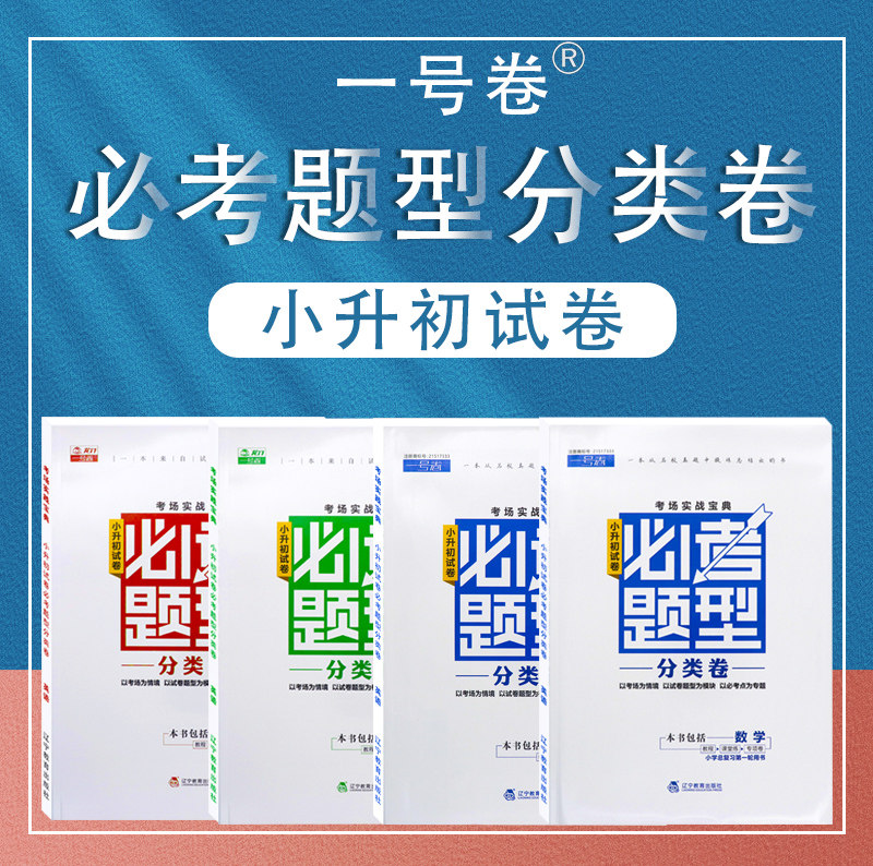 小升初必考题型分类卷书专项训练通用版小学毕业升学系统总复习必刷题语文数学英语人教五六年级第一二轮总复习小学升初中名校真题