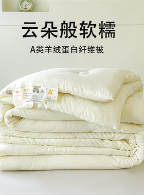 A类羊绒蛋白加厚保暖被芯被子