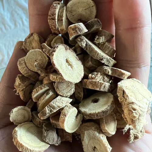 精选深山黄芪切片无硫片大均匀