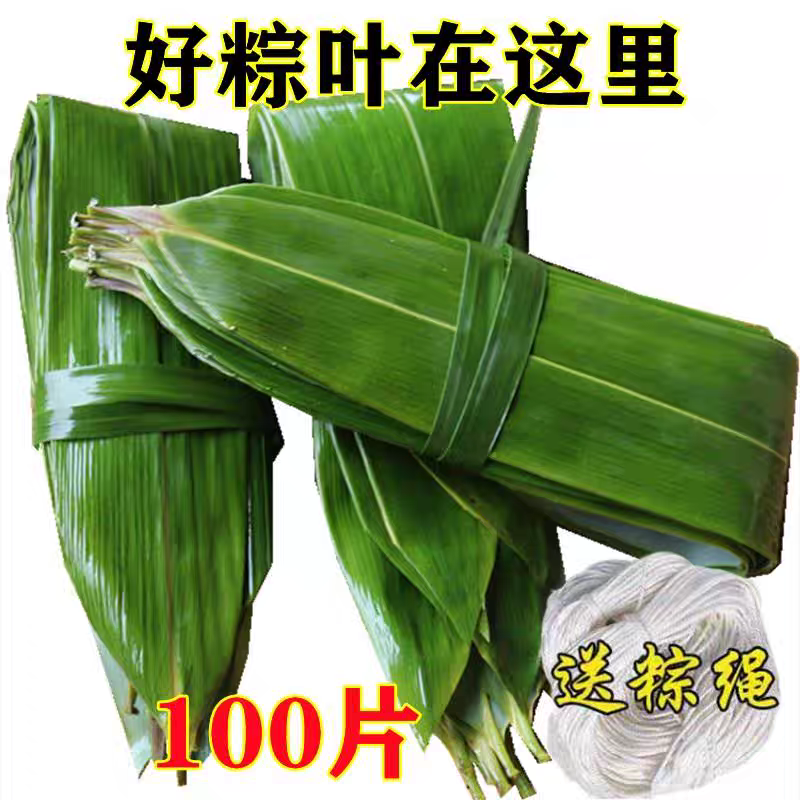 粽叶新鲜现摘箬竹叶包粽子叶子江西野生真空包装特大粽子叶100片