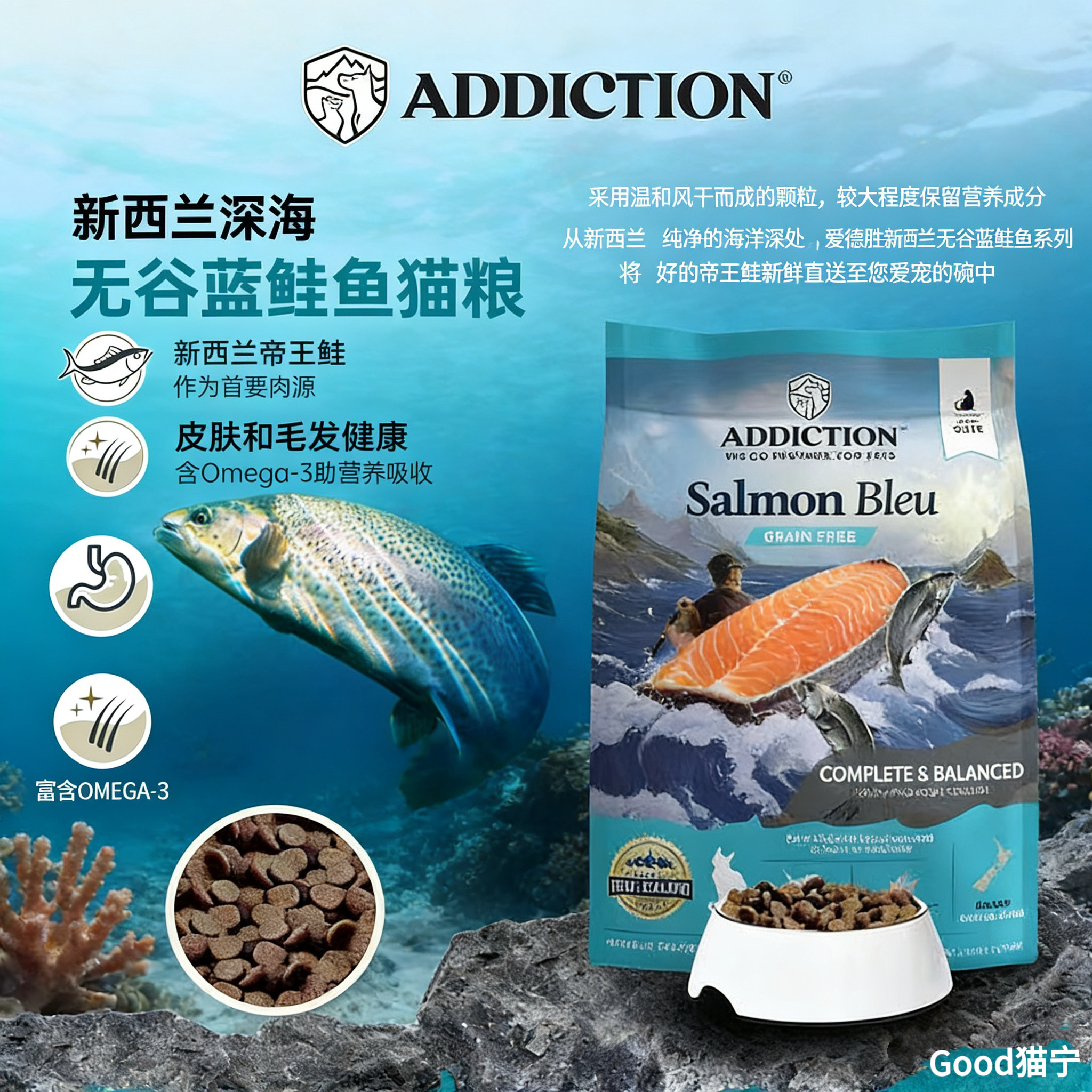 爱德胜无谷蓝鲑鱼猫粮美毛护肤