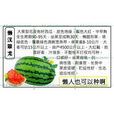 特大懒汉种子巨型西瓜西瓜种籽免整枝高糖大瓜春四季水果种孑超甜