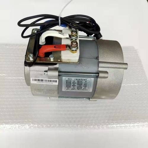 雷丁D50D70交流电机比德文M6M7M8原装电机宝路达电动汽车配件