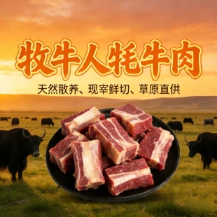 牦牛肉新鲜4斤青海西藏冰鲜天祝白耗牛肉生鲜散养牛肋排带骨