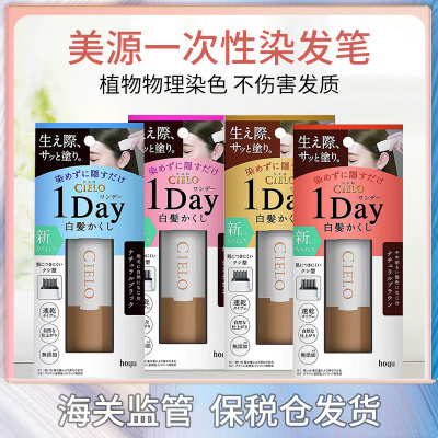 日本hoyu宣若一次性纯植物染发笔