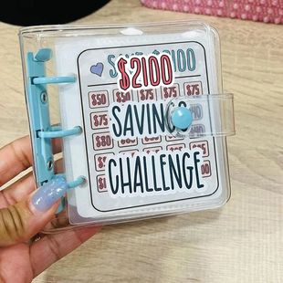 Envelope Challenge Saving $2100 Money Challenge Savings Orga