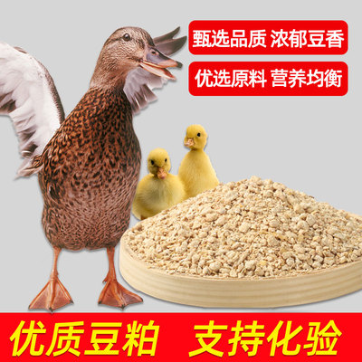 直销80斤膨化豆粕养殖鸡鸭饲料