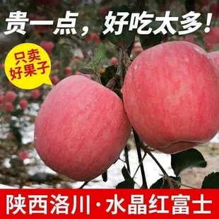 新鲜水果非丑平果 正宗洛川苹果红富士水果脆甜冰糖心整箱当季