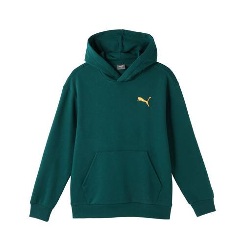 PUMA/彪马 男子舒适休闲运动长袖连帽卫衣 63172943