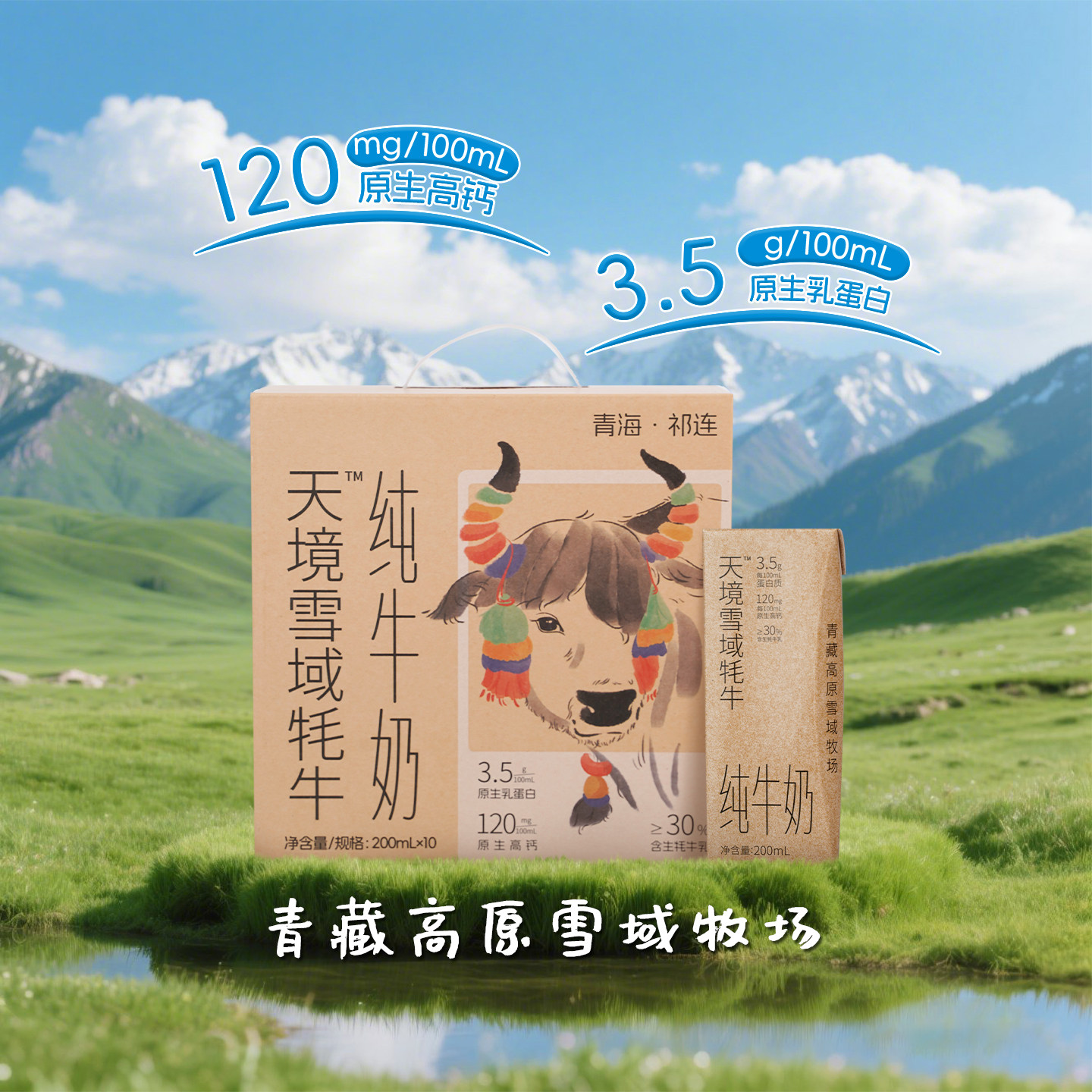 【年货节】雪域天境营养品质祁连山纯牛奶200ml*支 含30%生牦牛乳,咖啡/麦片/冲饮,牦牛奶,淘宝优惠券,粉丝福利购,淘宝优惠卷