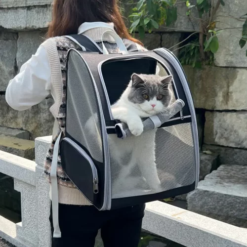 折叠猫包新款双肩宠物背包大容量