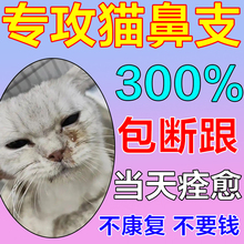 猫鼻支特效药猫咪流鼻涕滴鼻子雾化打喷嚏营养滴剂感冒呼吸道感染