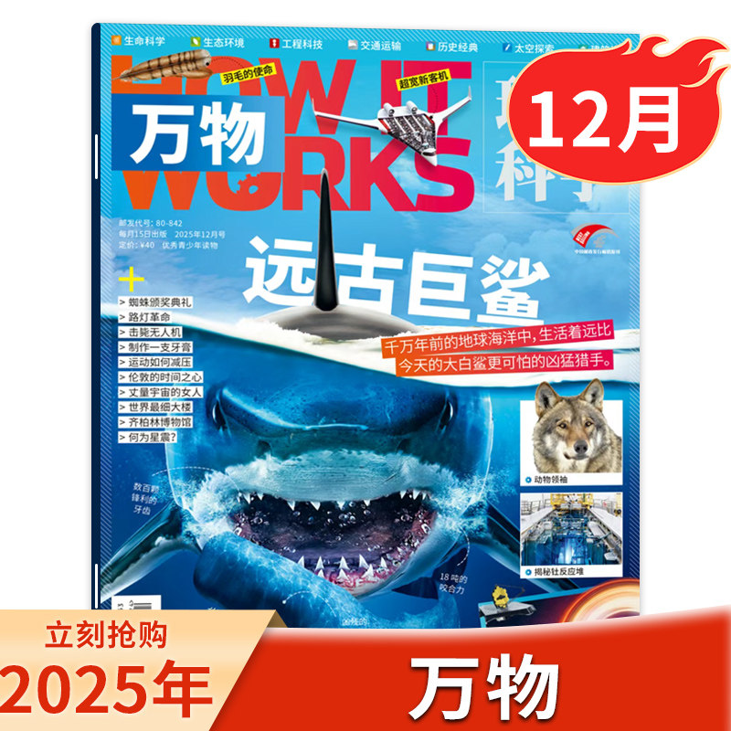 单期2025年12月万物杂志